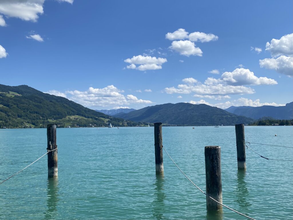 0FC61A3A-793D-43BF-ADDC-29BB87530281_1_201_a