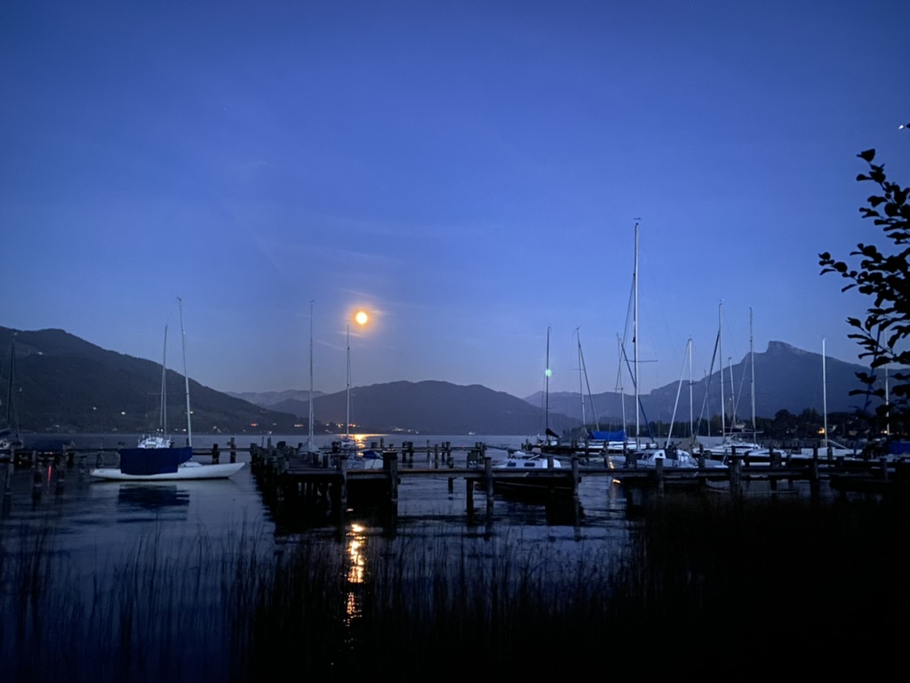 3EDE7729-494F-442D-A9CB-1E1874760579_1_105_c